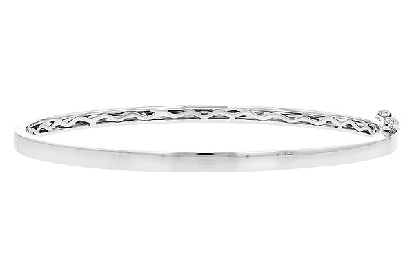 F328-08282: BANGLE (B244-41037 W/ CHANNEL FILLED IN & NO DIA)